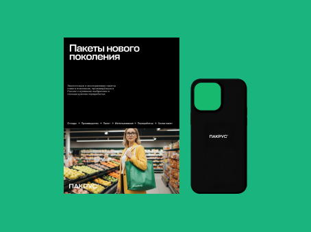 ПАКРУС — фрагмент проекта 3