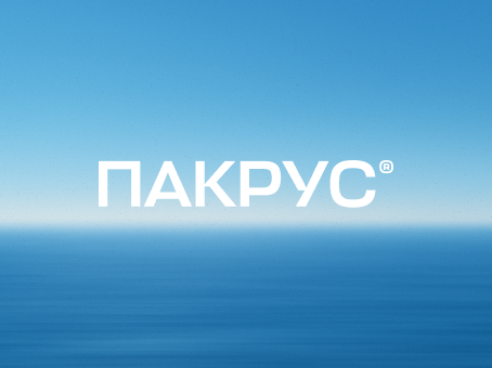 ПАКРУС — фрагмент проекта 1