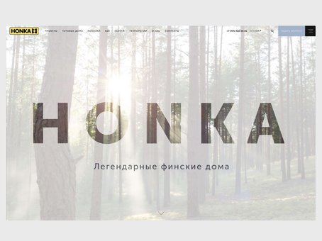 Honka — фрагмент проекта 2