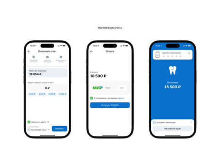 Interdentos — фрагмент проекта 3