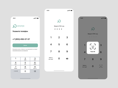 Oyster — фрагмент проекта 2